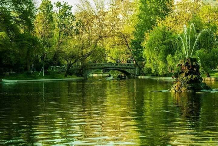 podul amintirilor de aurelia oanca