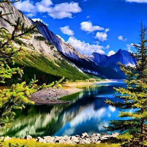 raiuri pamantesti de aurelia oanca