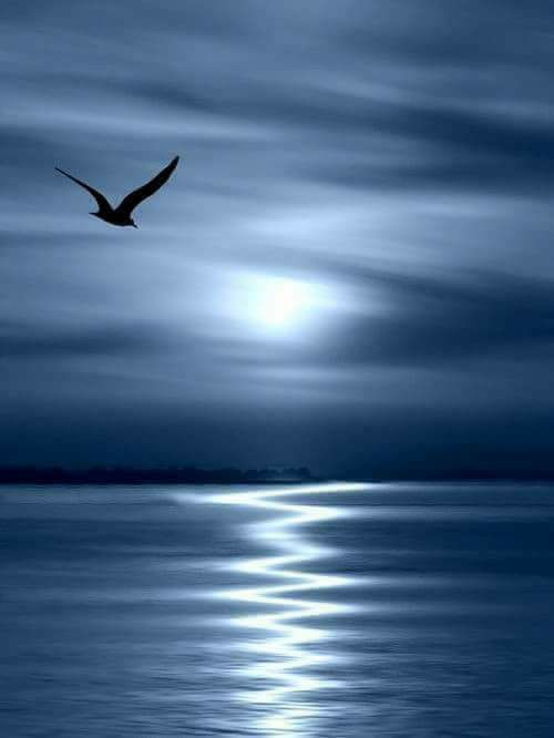 ratacit prin vise de aurelia oanca