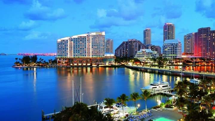 Senatorul de Constantin Bidulescu