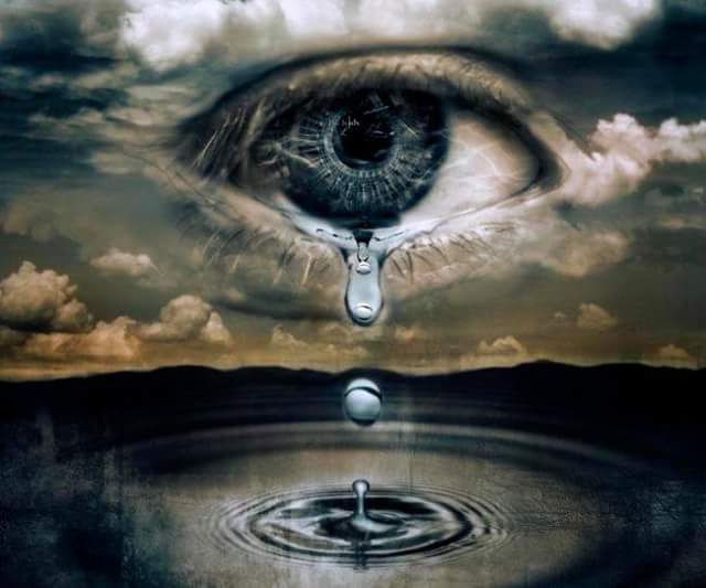 straina de loreta toader