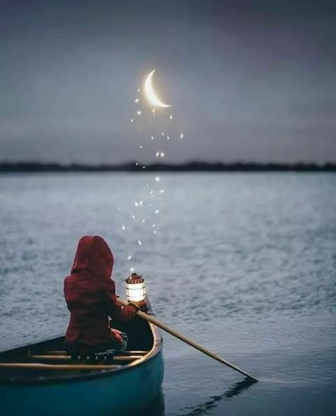 un infinit de vieti de mihaela cd