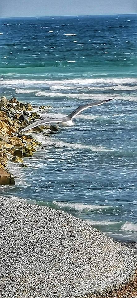 val cu val de aurelia oanca