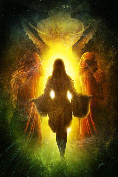 Vii si pleci de daniel visan d