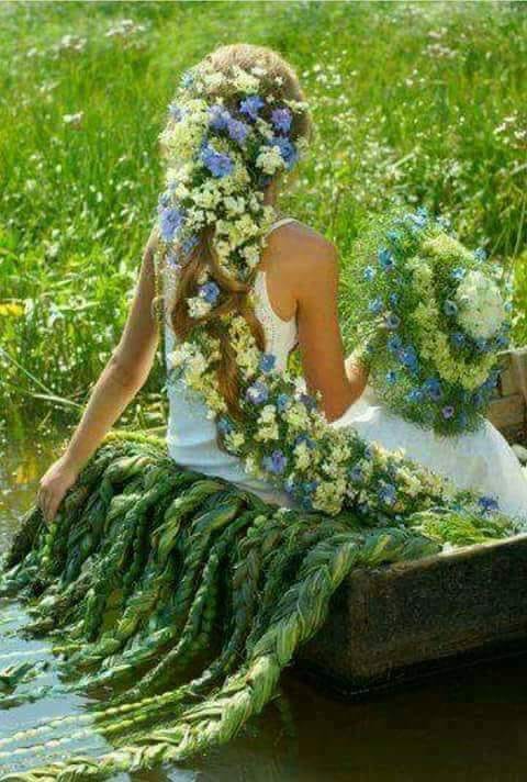 vis calator de aurelia oanca