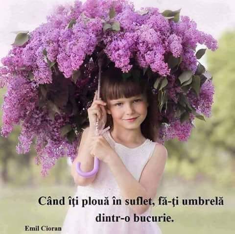 zambeste de teodora dumitru