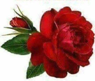 zborul de elena tudosa