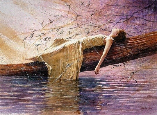 Alintari de vise de daniel visan d