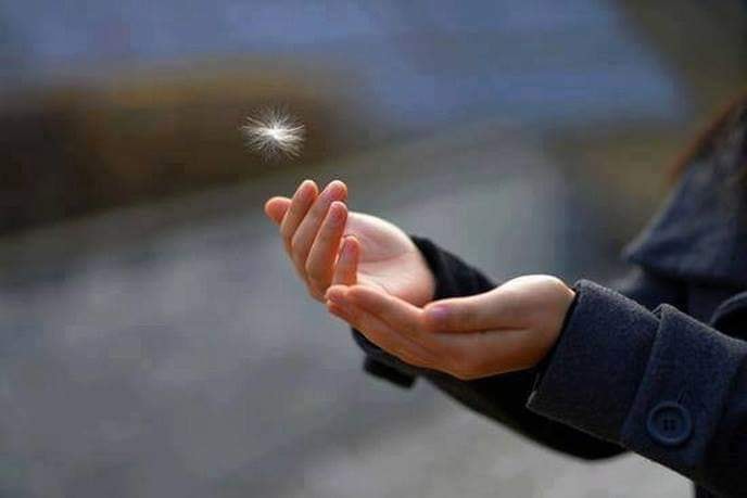 anotimpurile sufletului de eugenia grobnic