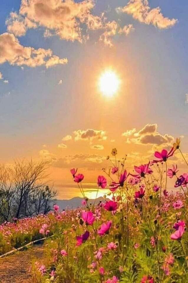 batranii satului rondel de constantin bidulescu