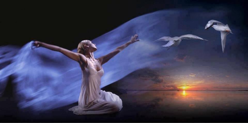 bucuria luminii de loreta toader