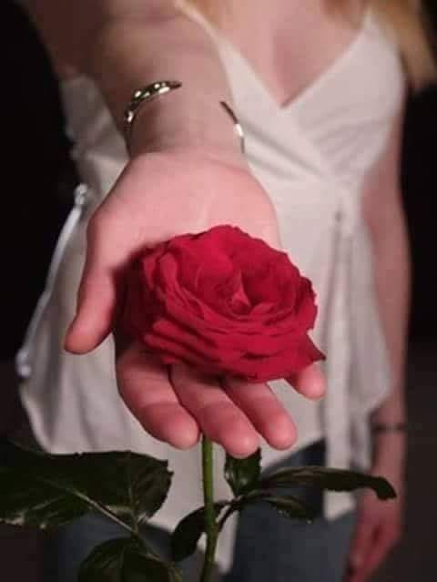 ce sus mi te-am cladit de mari lena stefan