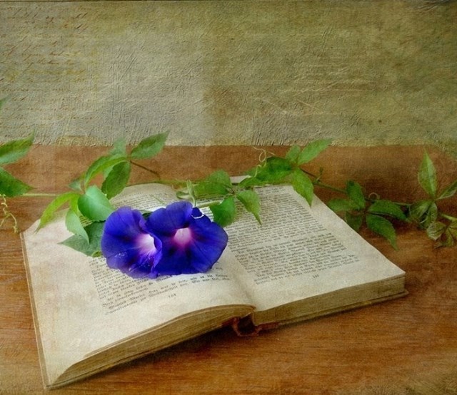 Credinta poetului de Gabriel Ionescu