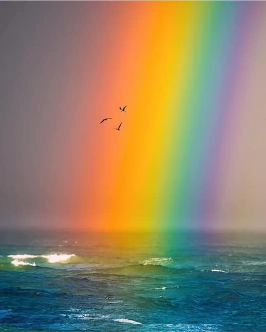 curcubeul tineretii de mihaela cd