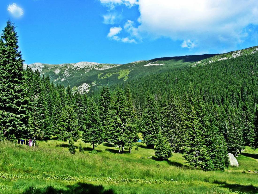 Doamne satura-i de aurelia oanca