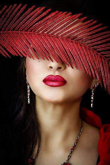 dulce destin de carmen pinte