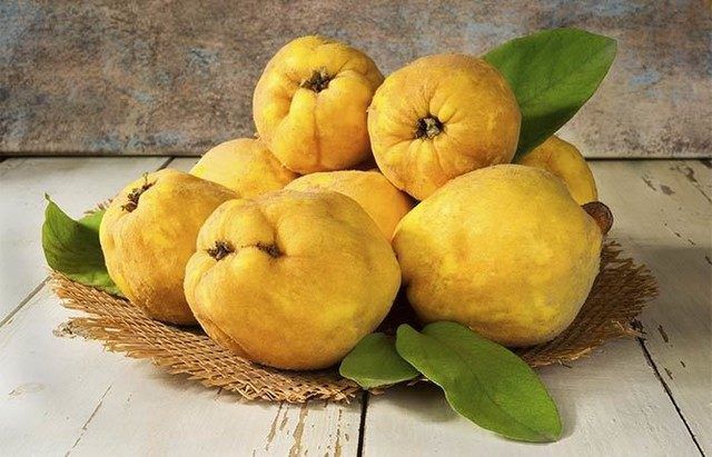 gutuile copilariei de valentina petraru