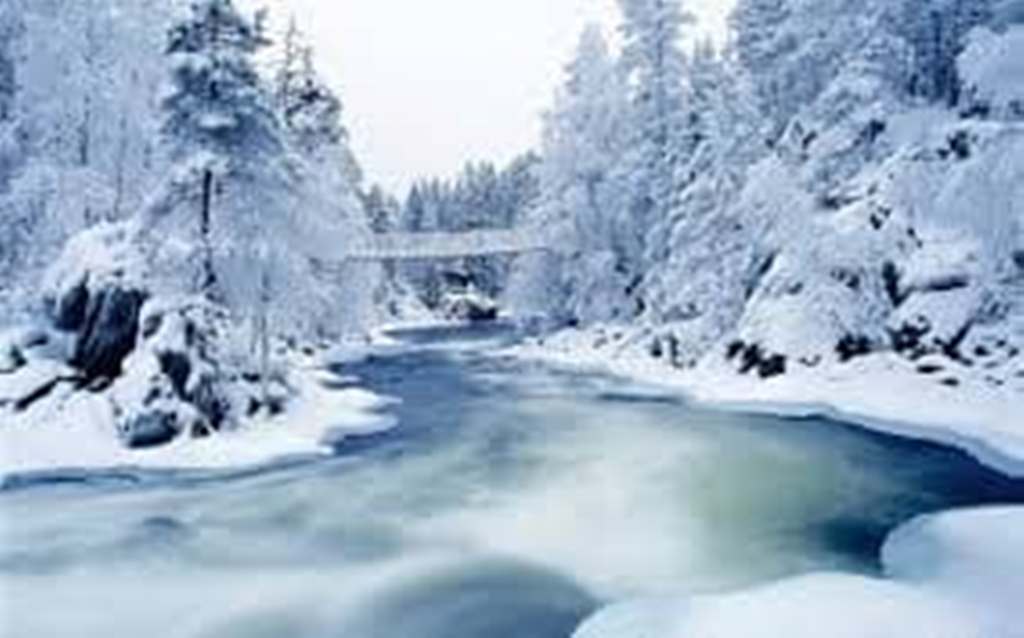 iarna zurlie de angi melania cristea