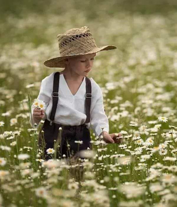 la bunici e zarva mare de sandu chiva