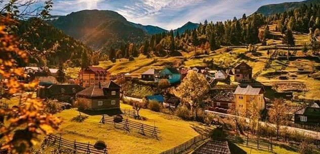 ma intorc satule acasa de elena tudosa