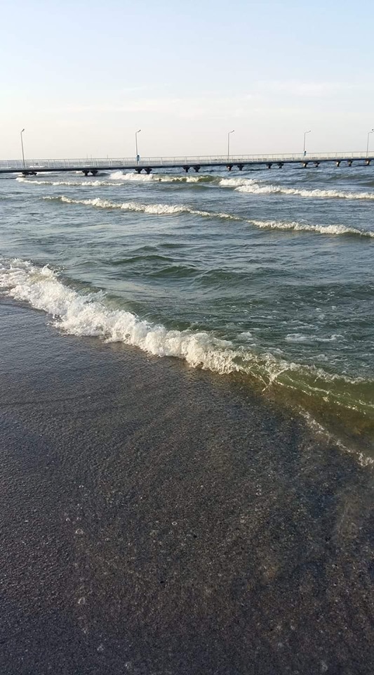 Mare ma vrajesti de petraru valentina