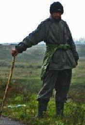 Marin Motanul de daniel visan dimitriu