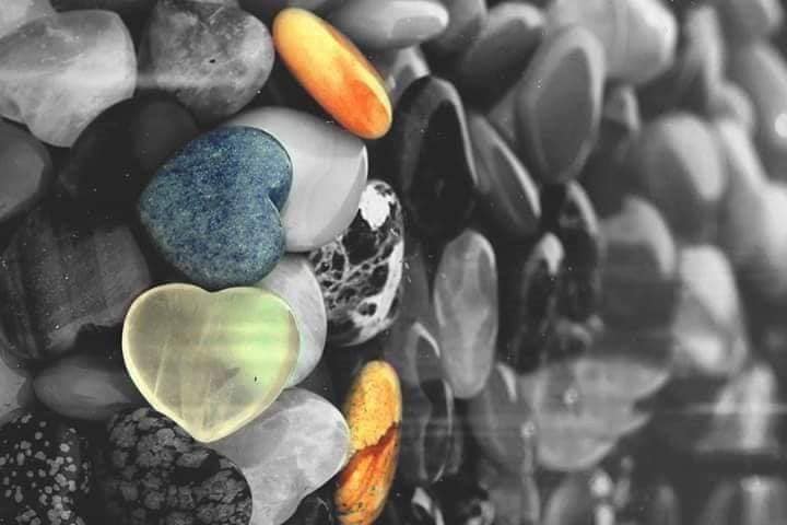 marturii sub pietre se ascund de carmen pinte