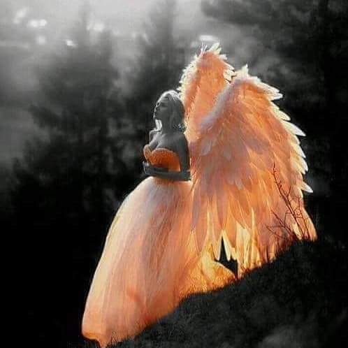 nu-ti vinde visul de eugenia grobnic