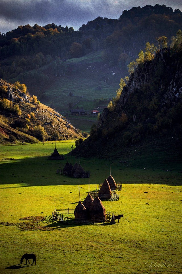 ocroteste natura de aurelia oanca.jpg