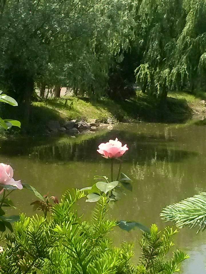 pe mal de apa de aurelia oanca