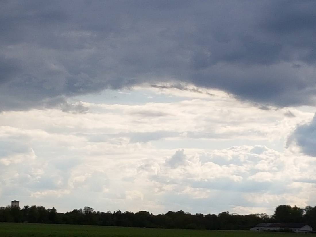 poetul de loreta toader