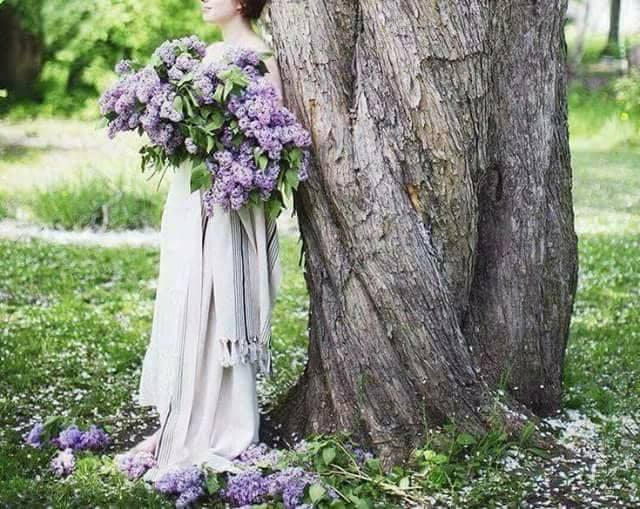 povesti se nasc de aurelia oanca