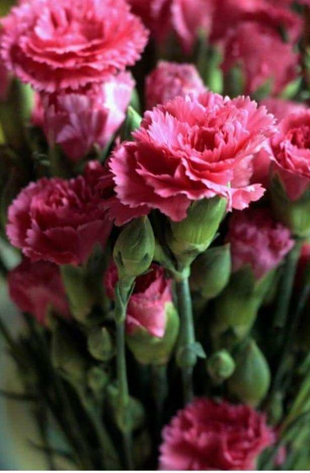 preschimba-ma Doamne de Valentina Petraru