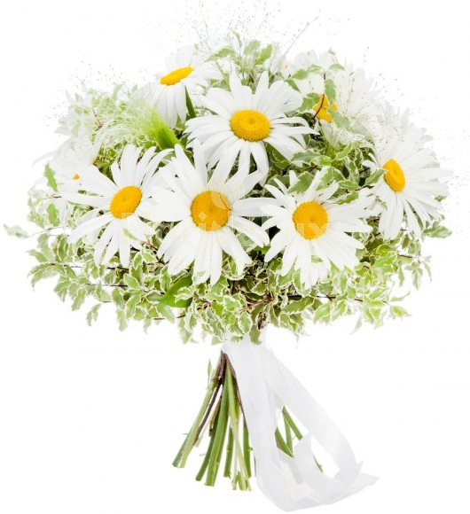 Prietenia, piatra rara de Mihaela CD