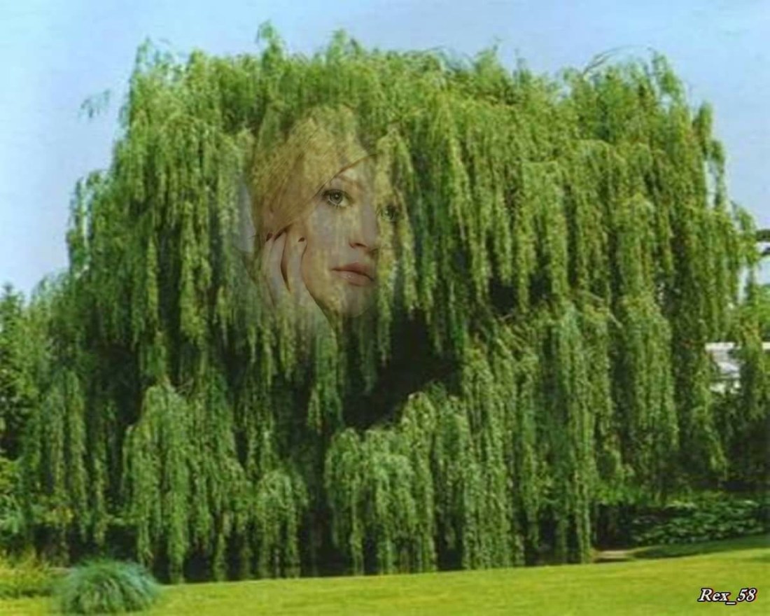 regasire de eugenia grobnic