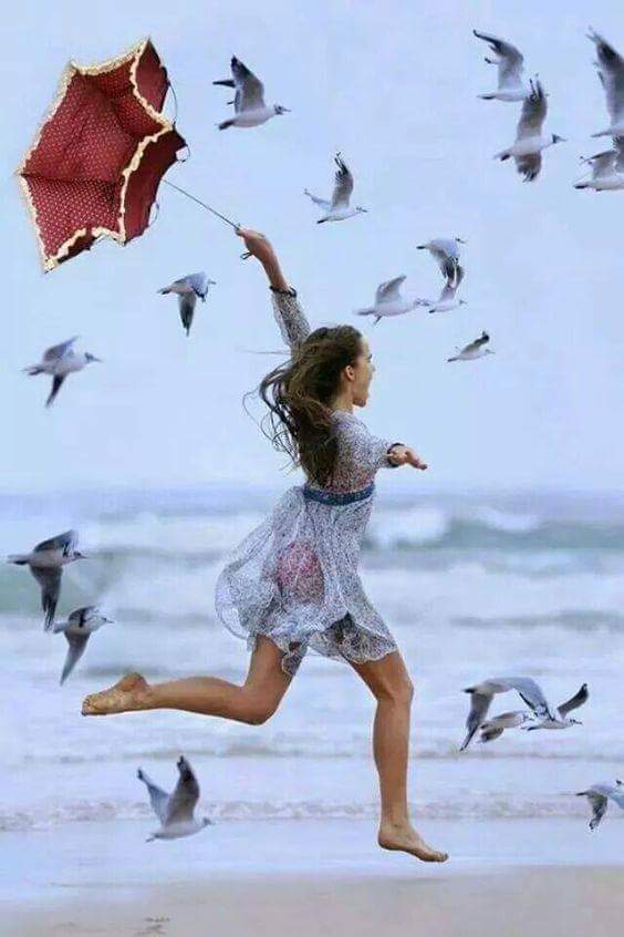 te-am inselat de loreta toader