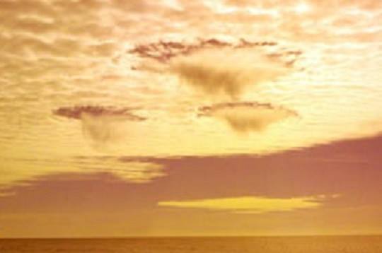 Timp interzis de daniel visan d