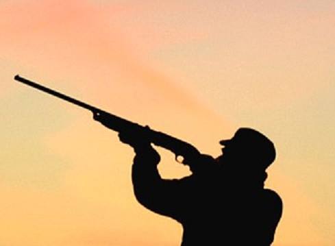 Vanatoreasca de daniel visan d