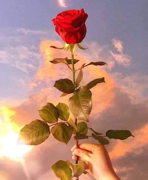 voi fi de mari lena stefan