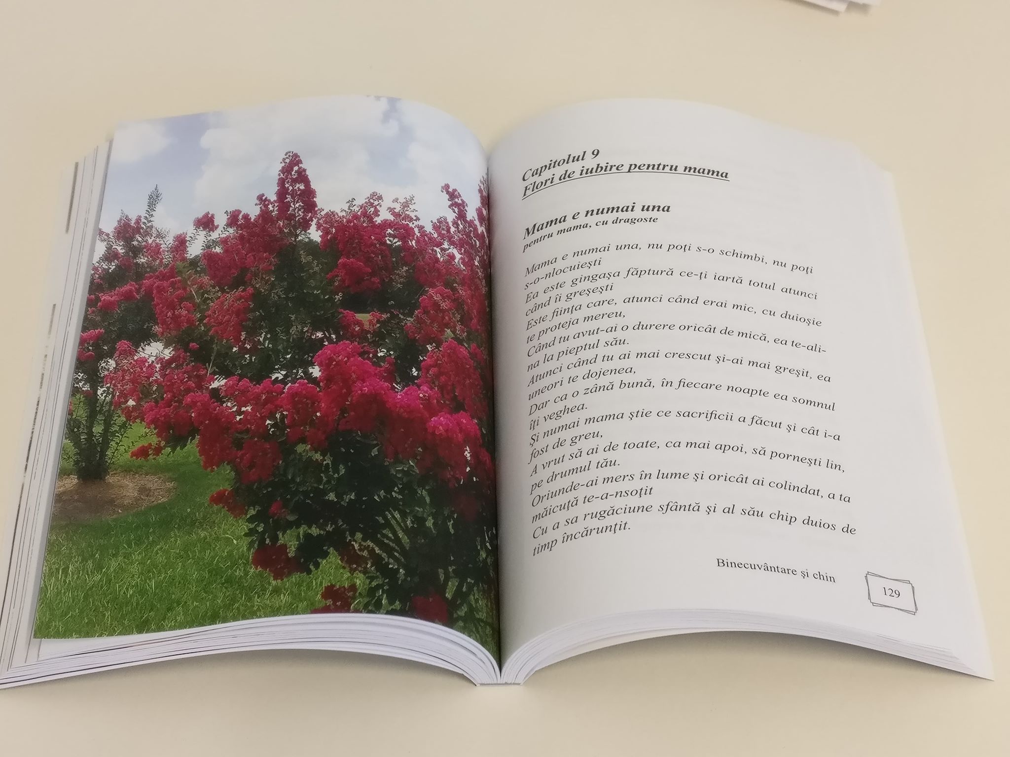 65271640_1928228387277039_1665579186288328704_n