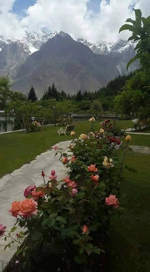 altarul linistii de aurelia oanca