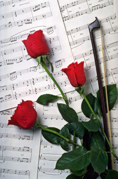 Arcus din cuvinte de valer popean