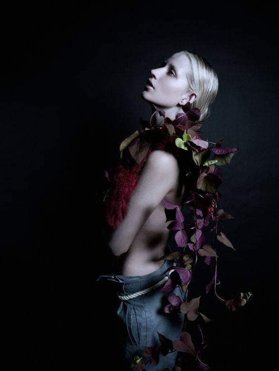 asculta de doinita nan