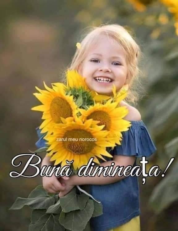 buna dimineata de aurelia oanca