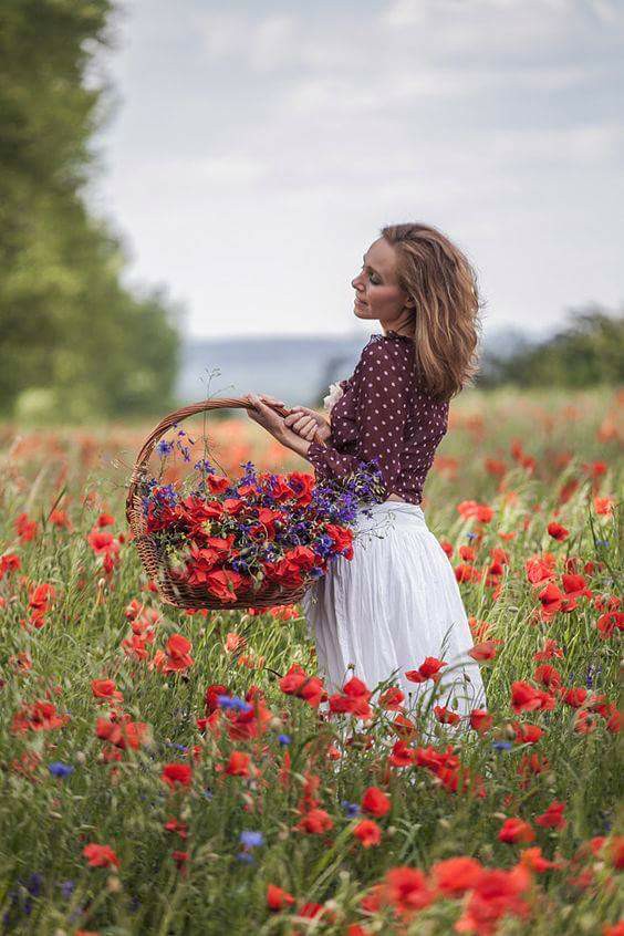 buna dimineata zi de vara de elena tudosa