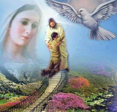 cu tine doamne de valentina petraru