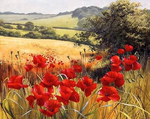 daca pasul meu de teodora dumitru