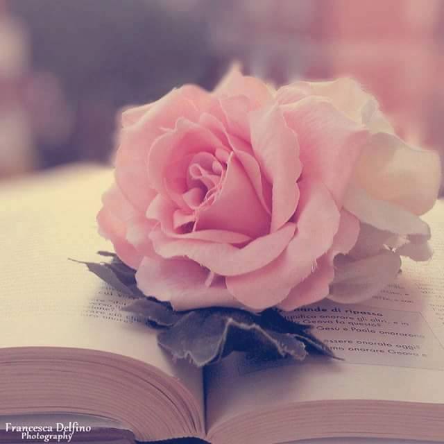 de ai un vis de aurelia oanca