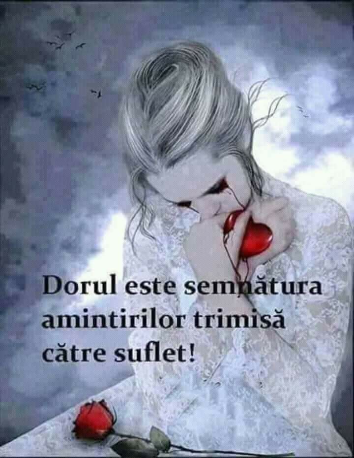 dorule de elena tudosa