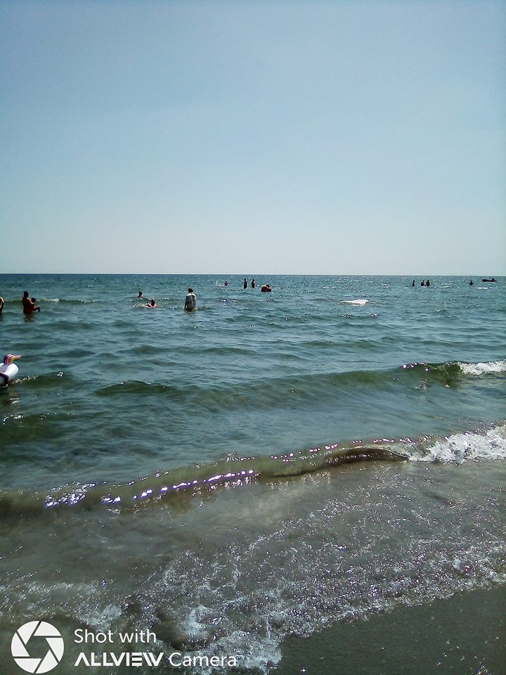 du-ma val de teodora dumitru